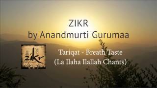 Sufi  Songs| Sufi Music and Poetry by Anandmurti Gurumaa