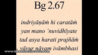 Bhagavad Gita Verse by Verse Talks by Chaitanya Charan Das (playlist 02)